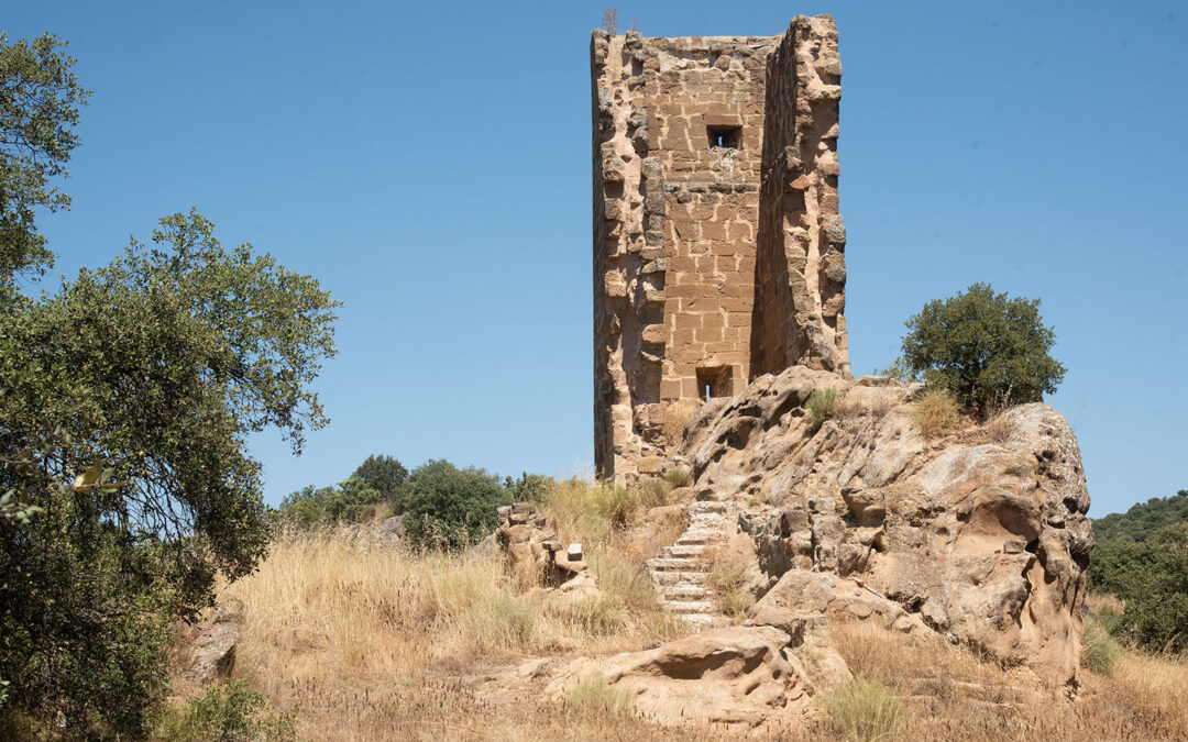 De castillos y fortificaciones